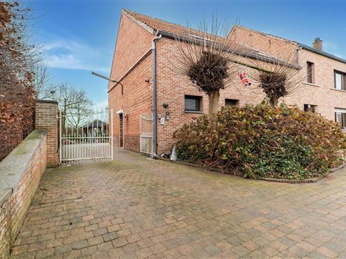 Sommerhus - 4 personer -  - 3440 - Zoutleeuw