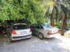 Billede 11