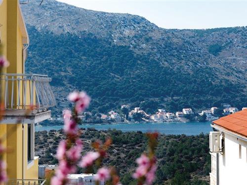 Holiday apartment - 4 persons -  - Grebastica Donja,Baselovici - Sibenik-Grebastica - 22010 - Sibenik