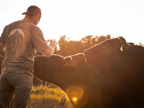 Ferieleilighet - 2 personer -  - Bundesstraße - 25776 - Sankt Annen