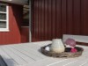 Bild 14