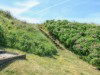 Billede 25 - Grund