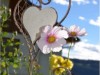 Bilde 3