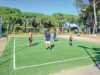 Billede 8
