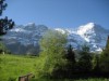 Bild 15 - Ude