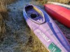 Bild 51