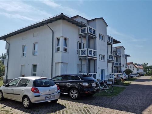 Semesterhus/Semesterlägenhet - 6 personer -  - 17459 - Ostseebad Koserow