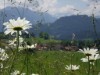 Bild 33