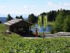 Bild 29