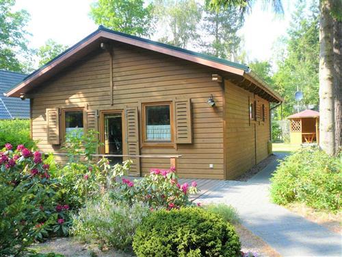 Ferienhaus - 4 Personen -  - Wittower Heide - 18551 - Glowe