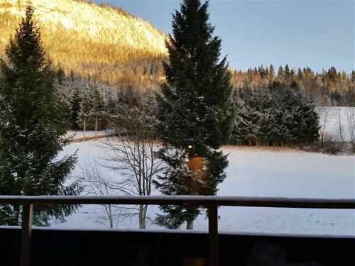 Ferieleilighet - 6 personer -  - Tauplitz - 8982 - Bad Mitterndorf