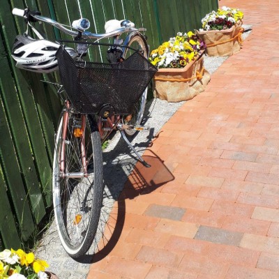 Billede 4