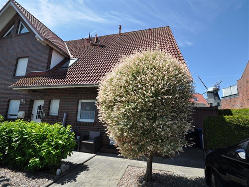 Ferienhaus - 7 Personen -  - Mittelweg - 26409 - Carolinensiel-Harlesiel