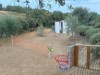 Billede 16