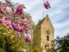 Image 14