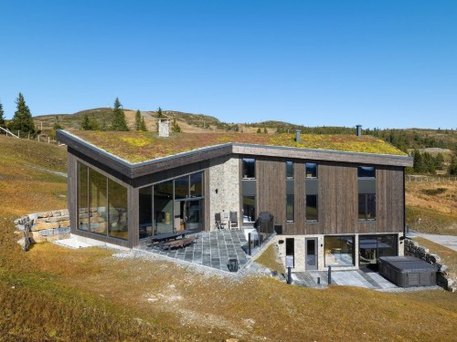 Feriehus - 14 personer -  - Gullknappvegen - Golsfjellet - 3550 - Gol