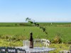 Billede 16 - Terrasse