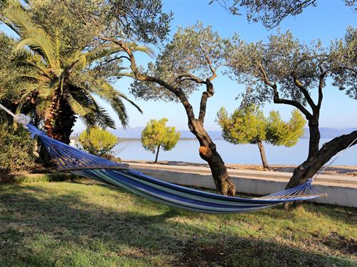 Holiday apartment - 4 persons -  - Drace - 20246 - Drace