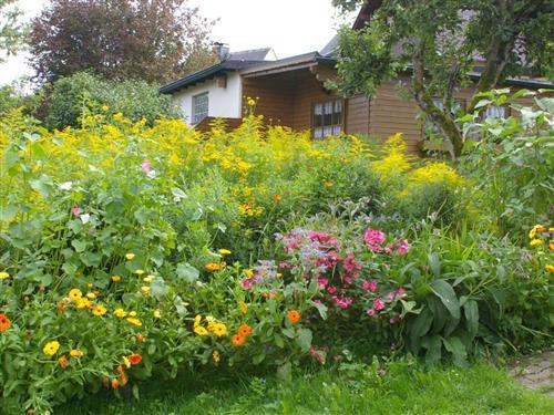 Holiday apartment - 4 persons -  - Jägersruh - 95697 - Nagel