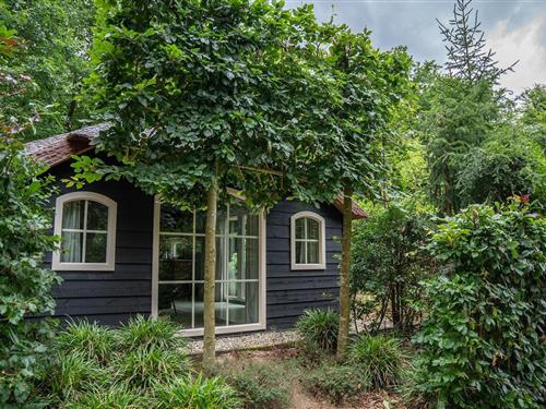 Sommerhus - 6 personer -  - 3852 PC - Ermelo