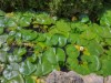 Image 50 - Outside