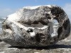 Bild 19