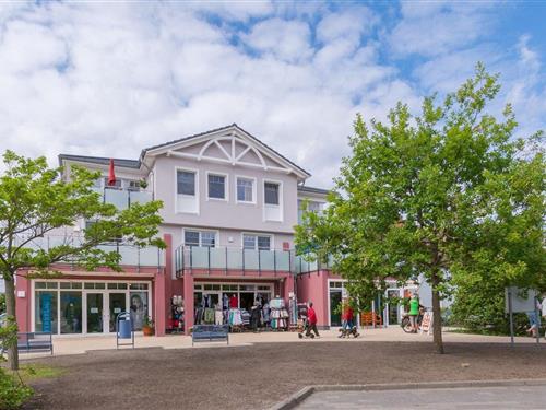 Ferieleilighet - 2 personer -  - Hafenstrasse - 18374 - Seeheilbad Zingst