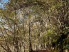 Billede 78