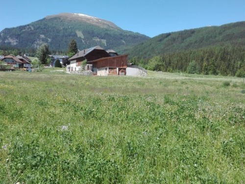 Ferieleilighet - 3 personer -  - Pürstlmoos - 5571 - Mariapfarr
