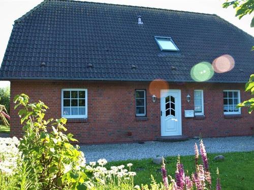 Holiday Home/Apartment - 4 persons -  - 25881 - Westerhever