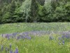 Bild 53