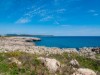 Bilde 4