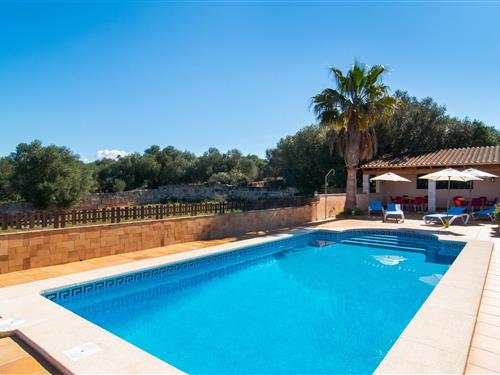 Sommerhus - 10 personer -  - Diseminado Son Toni Amer - Alcoraia, Campos - 07630 - Campos