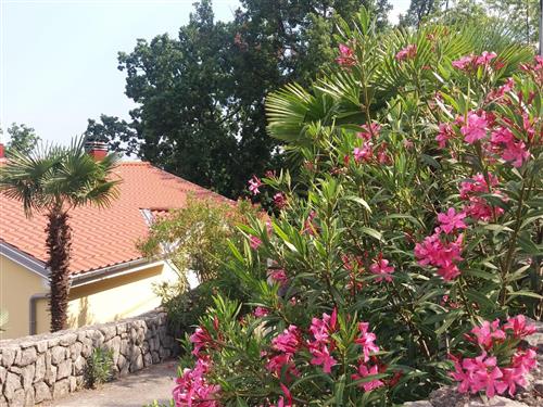 Ferielejlighed - 6 personer -  - Opatija - 51414