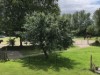 Billede 5