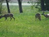 Bild 22