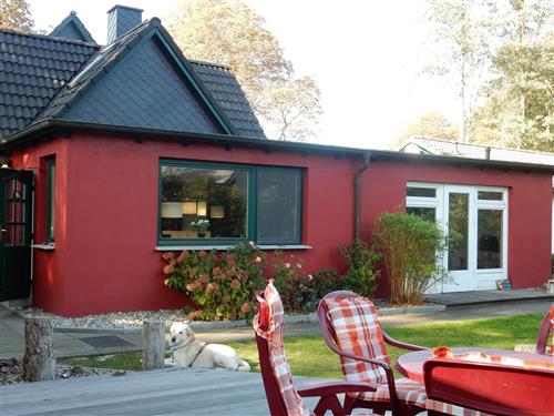 Ferienhaus - 8 Personen -  - Im Schüning 4 B - 18375 - Prerow