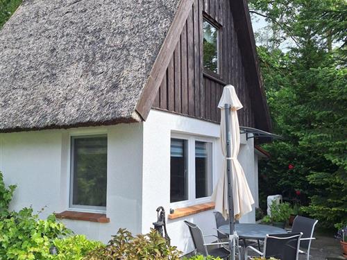 Sommerhus - 4 personer -  - Karlshagen - 17449