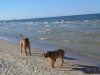 Bild 22