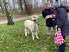 Bild 16
