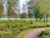 Billede 18 - Aktivitet