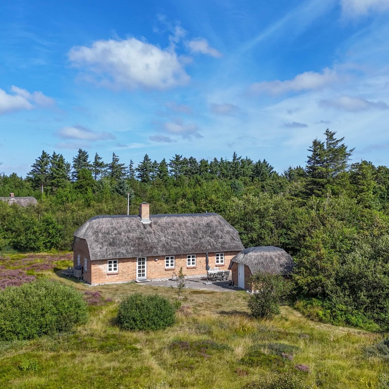 Ferienhaus - 6 Personen -  - Gaffelbjergvej - Vester Husby - 6990 - Ulfborg
