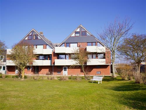 Holiday apartment - 3 persons -  - Am Kurhaus - 25845 - Nordstrand