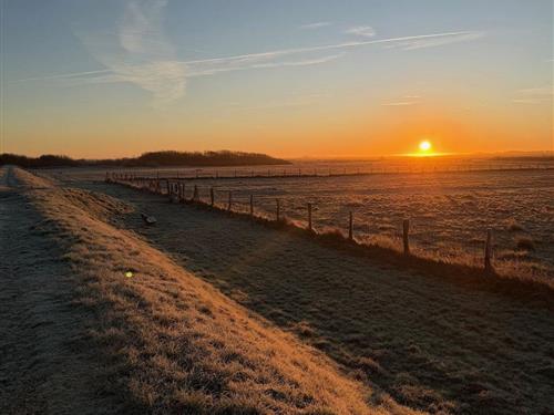 Ferielejlighed - 4 personer -  - Lorens-de-Hahn Straße - 25980 - Sylt