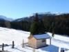 Bild 55