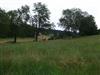 Bilde 4