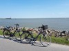 Billede 31