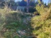 Billede 15