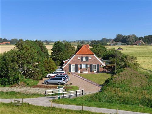 Ferielejlighed - 3 personer -  - Ostbense Am Deich - 26427 - Neuharlingersiel