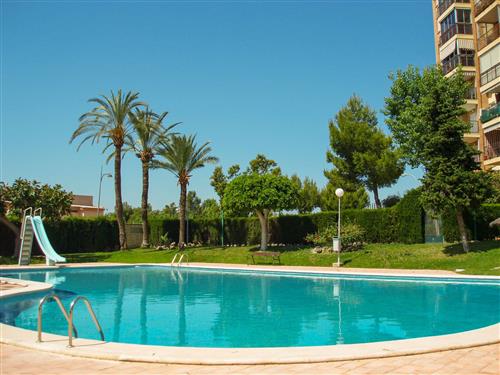Holiday apartment - 4 persons -  - El Campello/Villajoyosa - 03560